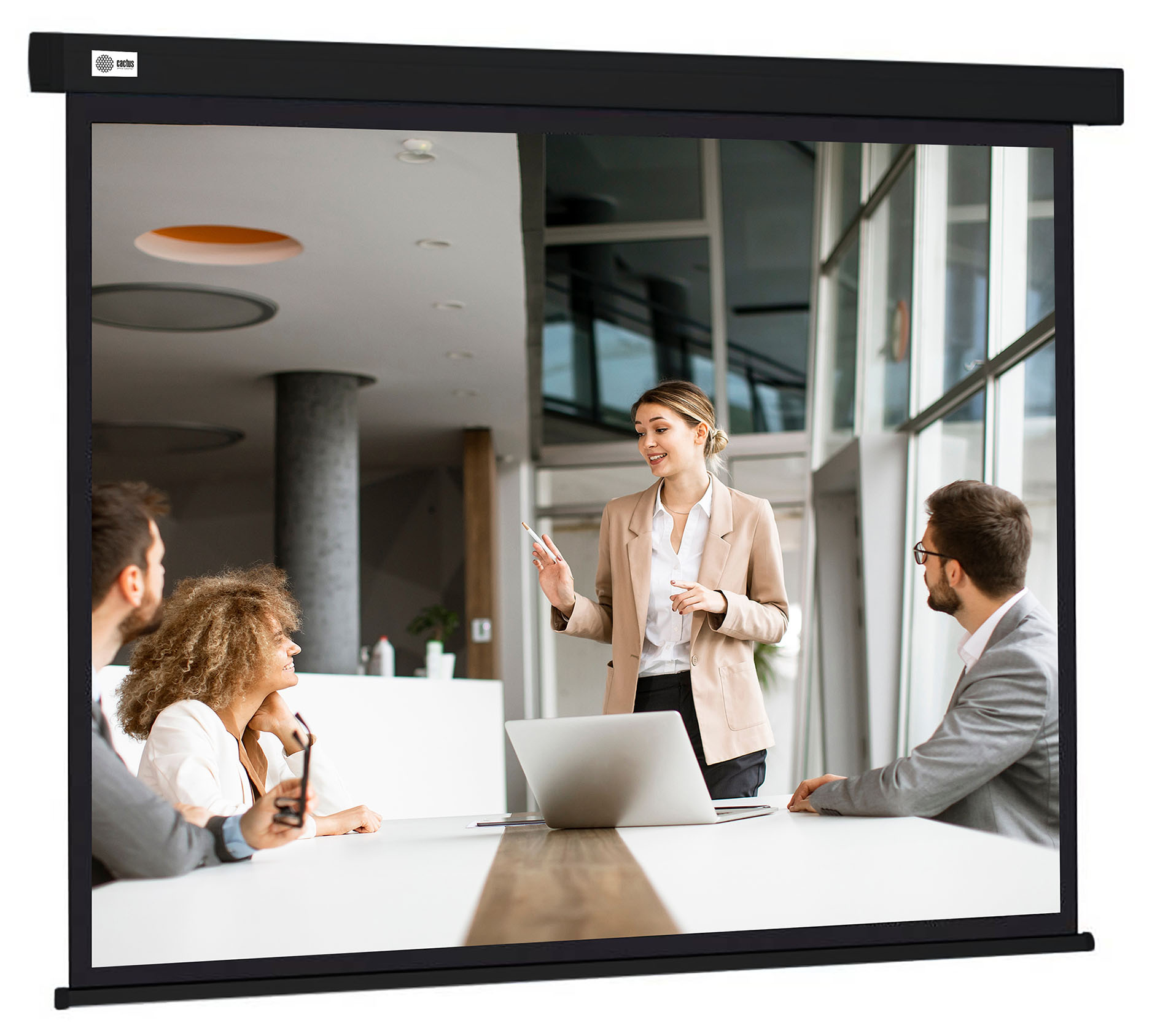 

Экран Cactus CS-PSW-168X299-BK 168x299см wallscreen 16:9 настенно-потолочный рулонный черный, CS-PSW-168X299-BK