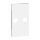 фото Панель лицевая  BTicino KW25M2