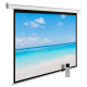 фото Экран  Cactus CS-PSME-300X225-WT в Самаре