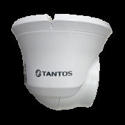 фото Видеокамера Tantos TSi-Beco45FP