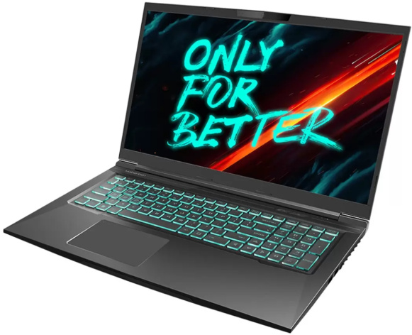 фото Ноутбук  Maibenben X668 17.3 ", Core i7, 32 Гб RAM, 1 Тб SSD, GeForce RTX 3070, Черный