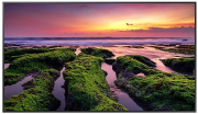 фото Панель LCD Samsung QB65C