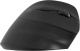 фото Мышь Wireless Oklick 688MW ERGO в Казани