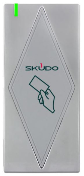 фото Считыватель  Skudo SK-RM200E в Казани