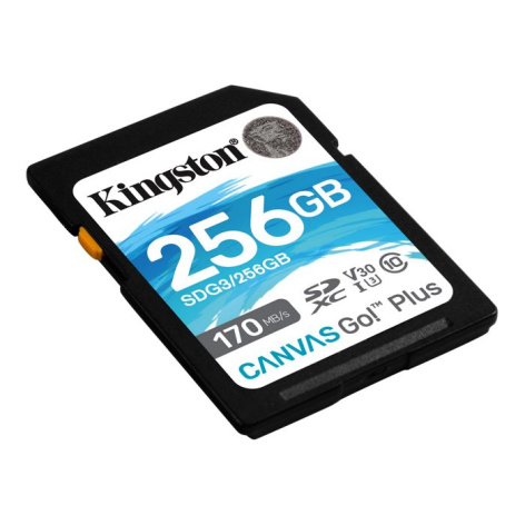 фото Карта памяти SDXC 256GB Kingston SDG3/256GB в Уфе