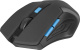 фото Мышь Wireless Defender Accura MM-275 Black-Blue в Самаре