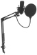 фото Микрофон  Ritmix RDM-180 в Красноярске