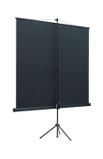 фото Экран Lumien LEV-100109