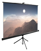 фото Экран Cactus CS-PSTE-180X180-BK