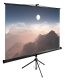 фото Экран  Cactus CS-PSTE-180X180-BK в Екатеринбурге
