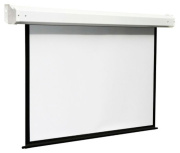 фото Экран Viewscreen Breston EBR-16905