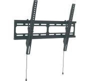 фото Крепление настенное  Wize WT55