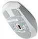 фото Мышь Wireless Razer Pro Click Mini в Волгограде