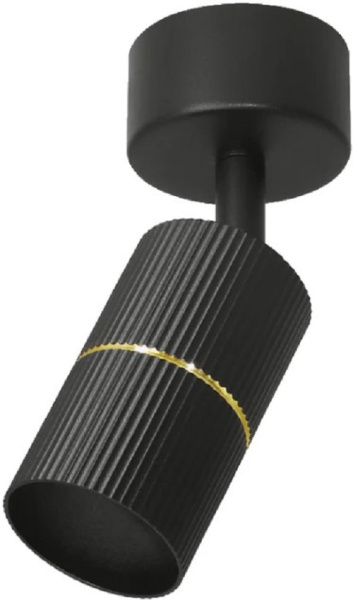 фото Светильник настенно-потолочный WOLTA WSL-GU10/18BG-2 в Красноярске