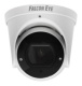 фото Видеокамера IP Falcon Eye FE-IPC-DV2-40pa в Уфе
