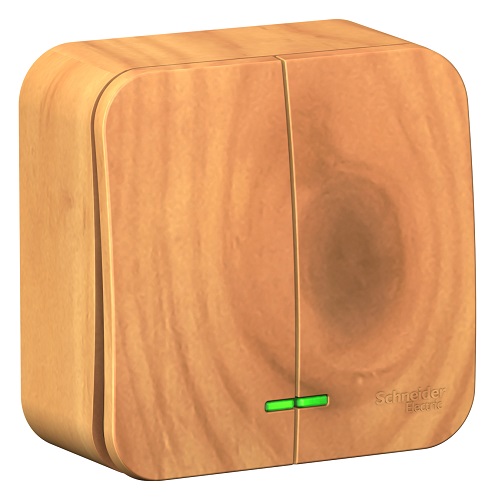 

Выключатель Schneider Electric BLNVA105115 2-клавишный с подсветкой 10А,250B, изолир. пластина Ясень наруж, BLNVA105115