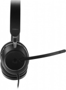 фото Гарнитура Jabra Evolve2 40 SE