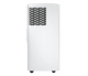 фото Кондиционер мобильный Hisense AP-09CR4GKWS00 в Перми