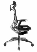 фото Кресло GT Chair Dvary Pro X