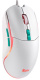 фото Оптическая светодиодная мышь SmartBuy RUSH X22, Белый, [SBM-752G-W] в Санкт-Петербургe