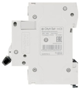 фото Автоматический выключатель Systeme Electric C9F34425