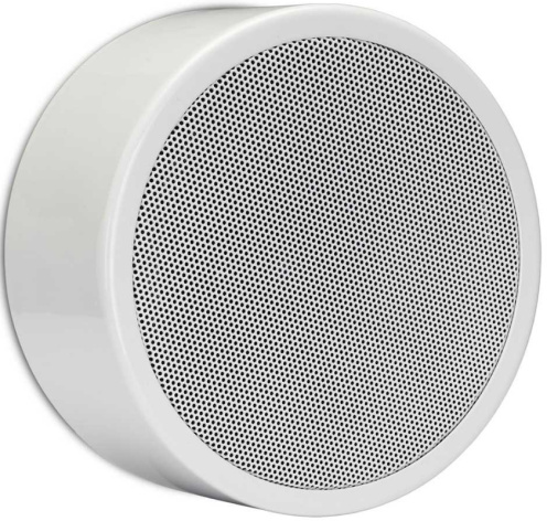 фото Акустическая система  BIAMP EN-SM6T10-W в Екатеринбурге