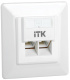 фото Розетка  ITK CS2-1C5EU-2-1