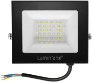 фото Прожектор Lumin'arte LFL-50W/06