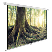 фото Экран Cactus CS-PSWE-220X220-WT