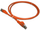 фото Кабель патч-корд U/UTP 6 кат. 2м Lanmaster LAN-PC45/U6-2.0-OR в Перми