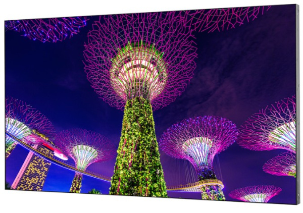 фото Панель LCD  EliteBoard SK555FCLN в Санкт-Петербургe