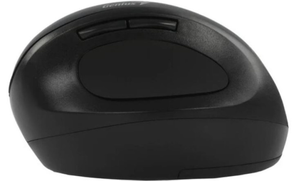 фото Мышь Wireless Genius Ergo 8300S в Омске