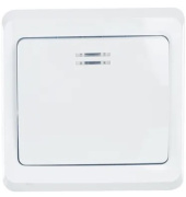 фото Выключатель IEK EVV11-K01-10-DM