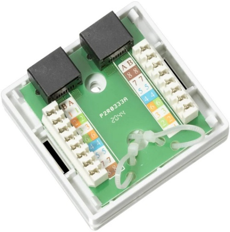 фото Розетка настенная TWIST J-8P8C-C5E-2P-TWCS в Омске