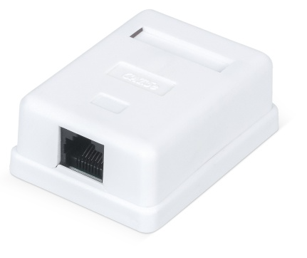 

Розетка компьютерная WRLine WR-WS-8P8C-C5E-1 RJ-45, категория 5e, неэкранированная, одинарная, внешняя, Dual IDC, цвет белый, WR-WS-8P8C-C5E-1