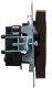 фото Розетка без заземления  IEK BR-R13-10-K45 в Уфе