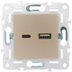 фото Розетка USB  IEK SK-U22-D31-K37