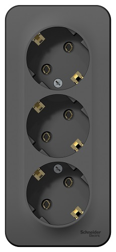фото Розетка  Systeme Electric BLNRA010316 в Омске