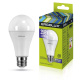 фото Лампа светодиодная ERGOLUX LED-A70-35W-E27-6K в Перми