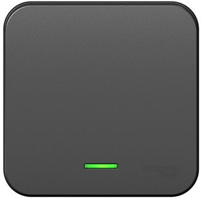 

Выключатель Schneider Electric BLNVA101116 1-клавишный с подсветкой 10А, 250B, изолир. пластина Антрацит наруж, BLNVA101116
