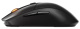 фото Мышь wireless SteelSeries Rival WL Gen 2 в Санкт-Петербургe