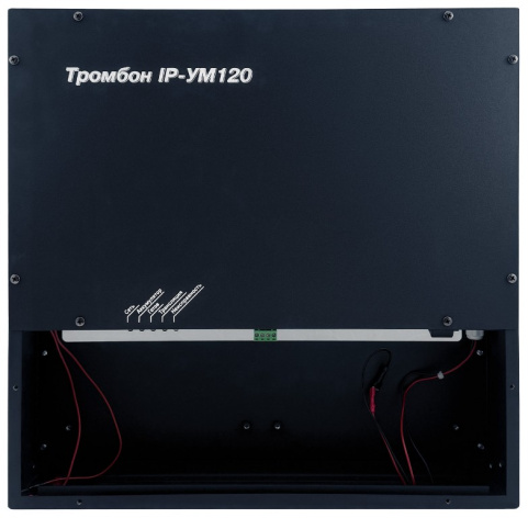 фото Усилитель Тромбон IP-УМ120-В в Краснодаре