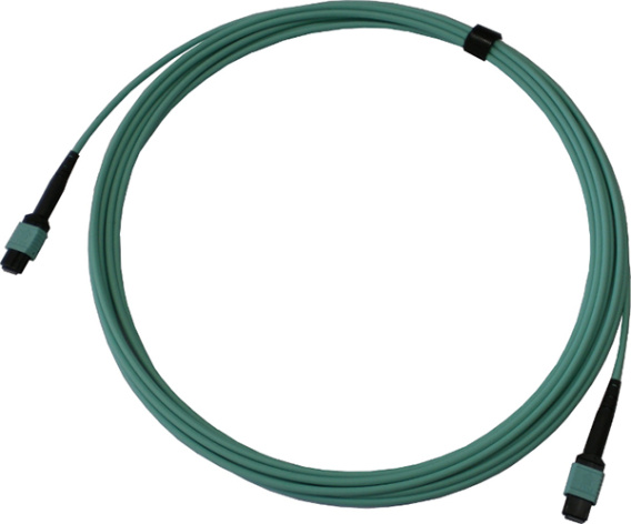 фото Кабель  Optiset C-MPO-MPO-OM3-8F-5M в Самаре