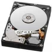 фото Жесткий диск Infortrend HELT72S3T10-0030G