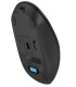 фото Мышь wireless A4Tech Fstyler FG15CS Air2 в Красноярске