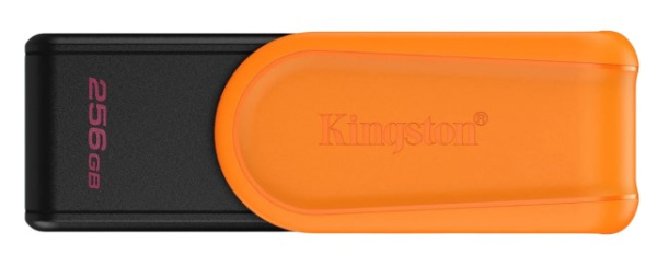фото Накопитель USB 3.2 256GB Kingston DTXS/256GB в Перми