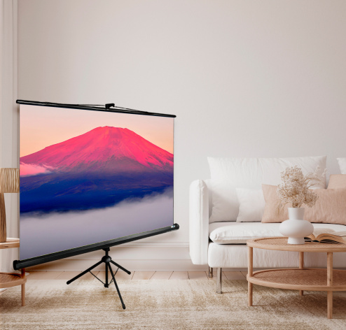 фото Экран  Cactus CS-PSTE-200X150-BK в Самаре