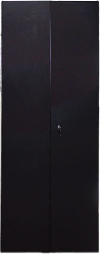 

Дверь TWT TWT-CBB-DR42-6x-S-M1 42U, 600 мм, черный, передняя - распашная металл, задняя - распашная металл, TWT-CBB-DR42-6x-S-M1