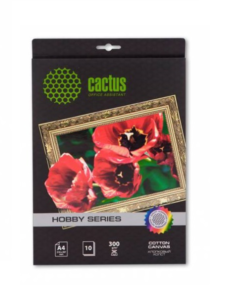 фото Холст  Cactus CS-CA426010 в Уфе