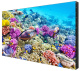 фото Панель LCD  EliteBoard BK557FFLE